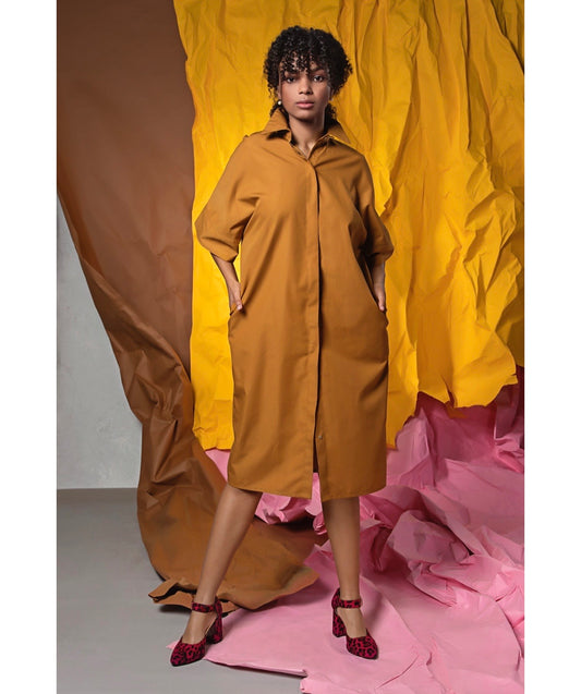 Mehak Shirt Dress