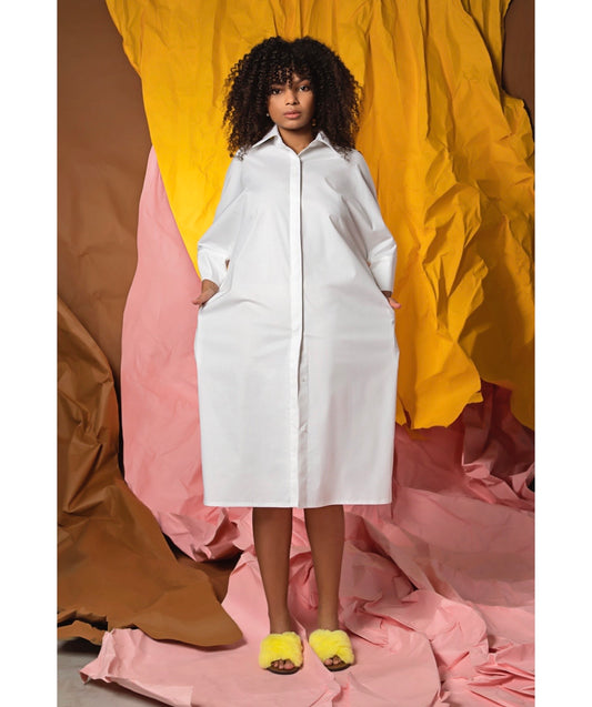 Mehak Shirt Dress