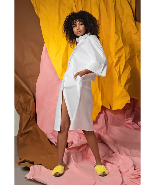 Mehak Shirt Dress